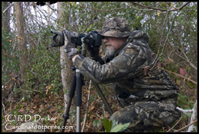 Camo is simply one tool of many in the nature photographer's toolbox.