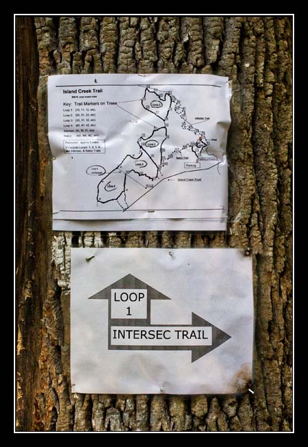 Maps are available at the trail head and are posted along the trail.