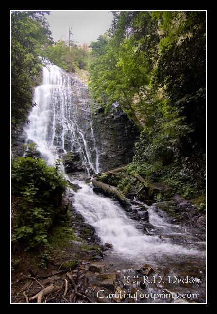 Mingo Falls is one of the tallest waterfalls in the Great Smokely Mountains