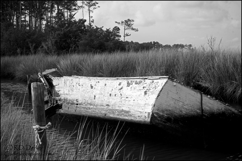 An old boat rots away in a canal along a local marsh.