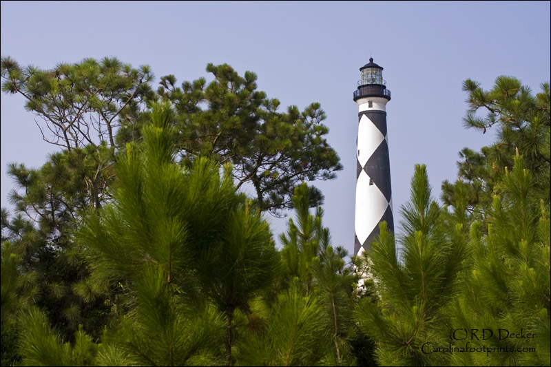 From some locations on Core Banks you can frame Cape Lookout Island with pine trees.