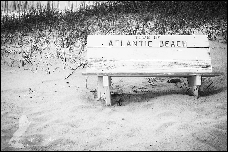 Rustic looking public bench on Atlantic Beach.