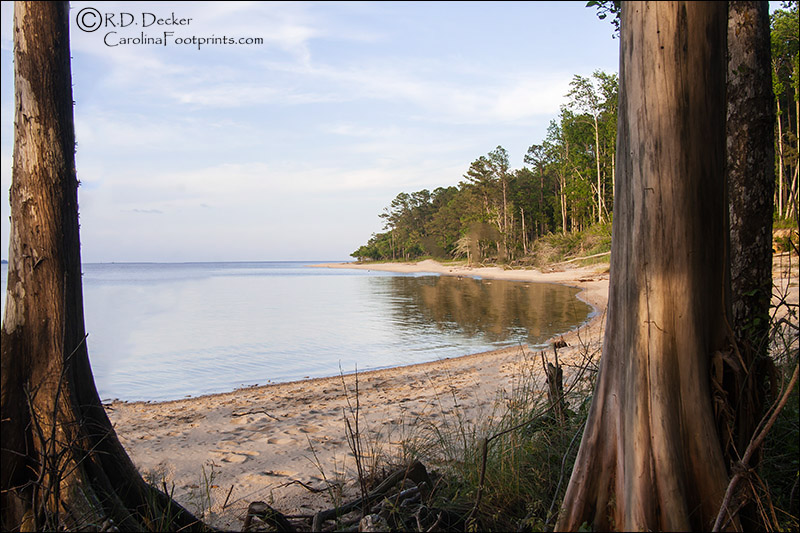 Where the Croatan Forest meets the Neuse River.