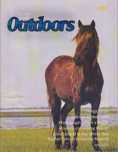 Wild horse on the cover of Crystal Coast Outdoors magazine, July issue.