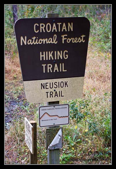This sign marks the trailhead near the Newport River.