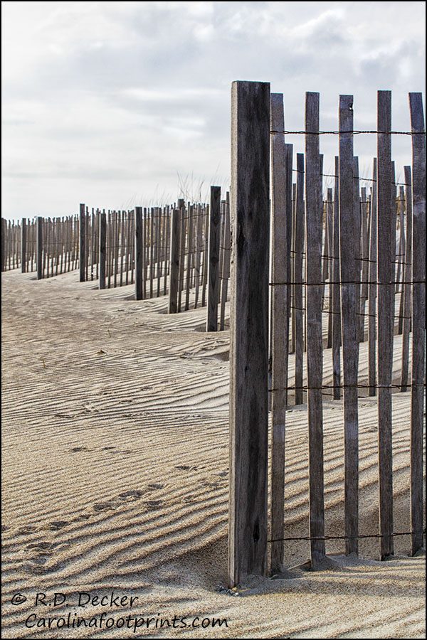 A sand fence .along the Carolina coast