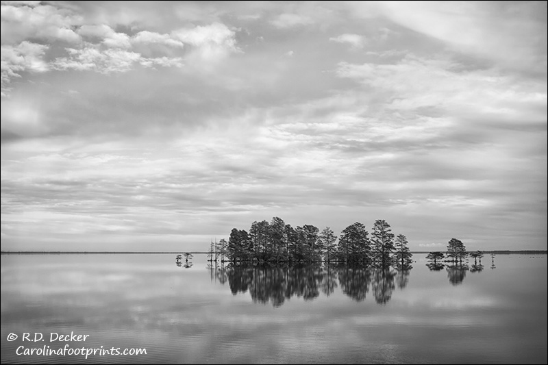 Lake Mattamuskeet in Black and White.